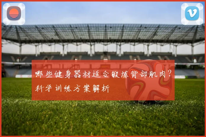 哪些健身器材适合锻炼背部肌肉？科学训练方案解析