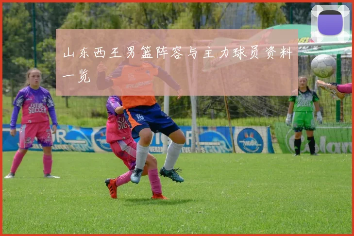 山东西王男篮阵容与主力球员资料一览