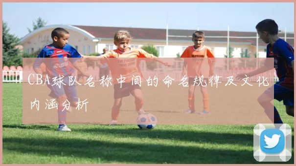 CBA球队名称中间的命名规律及文化内涵分析