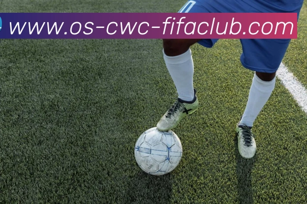 世界杯买球平台生态图