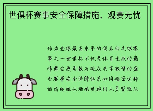 世俱杯赛事安全保障措施，观赛无忧