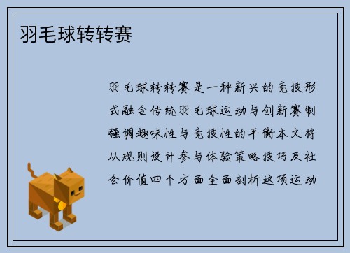 羽毛球转转赛