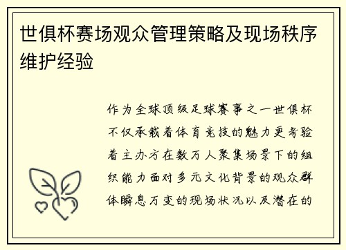 世俱杯赛场观众管理策略及现场秩序维护经验